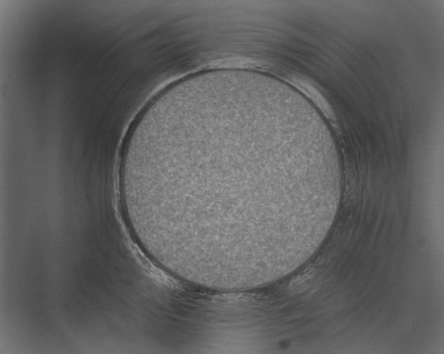 X0000076031000200610061413