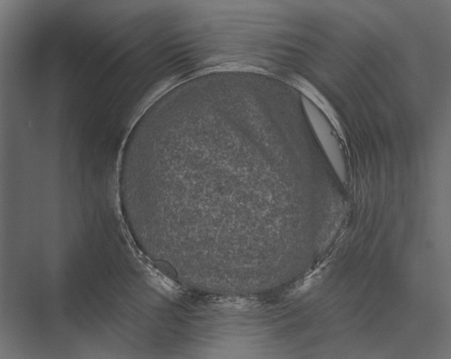 X0000076031002200610061413