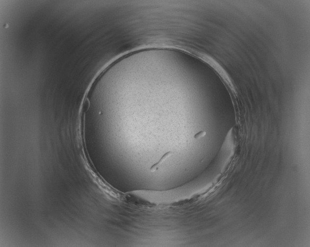 X0000076031004200610061413