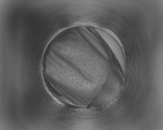 X0000076031005200610061413