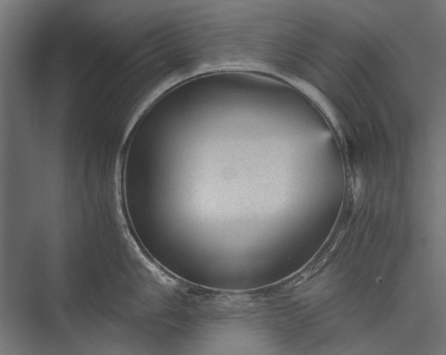 X0000076031006200610061413