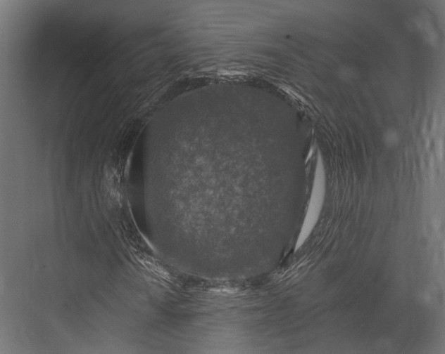 X0000076031010200610061412