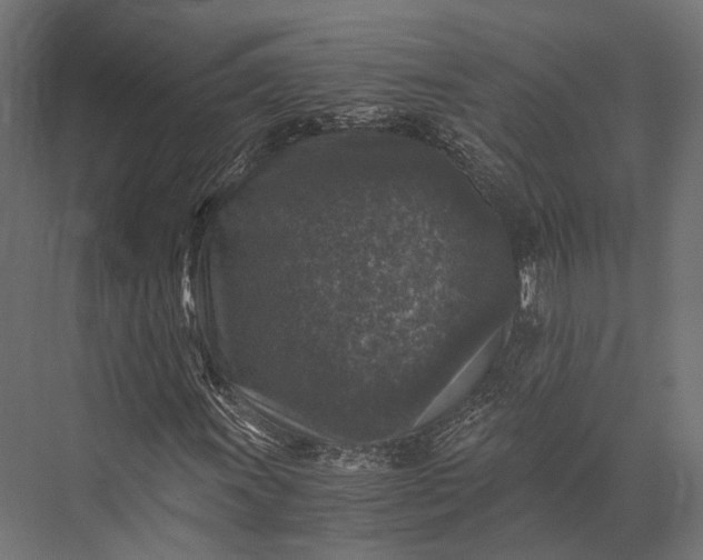 X0000076031011200610061412