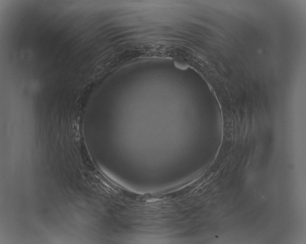 X0000076031013200610061412