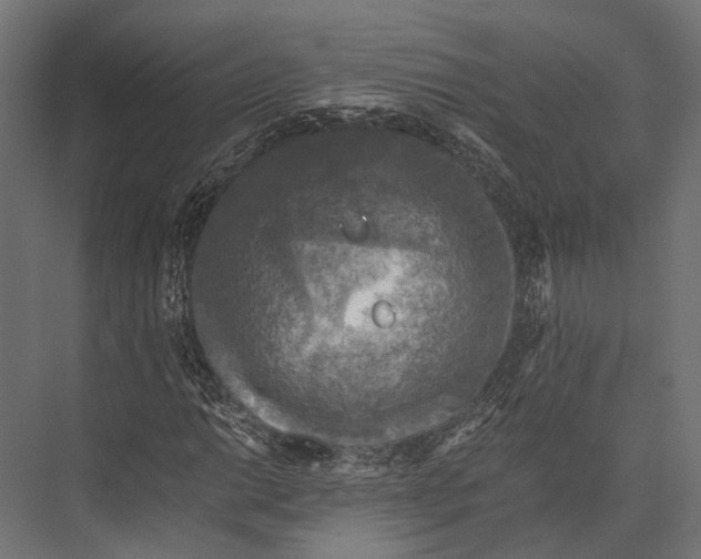 X0000076031014200610061412