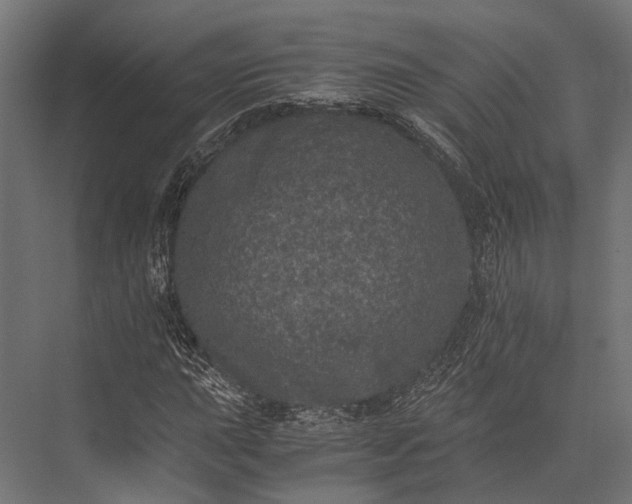 X0000076031015200610061412