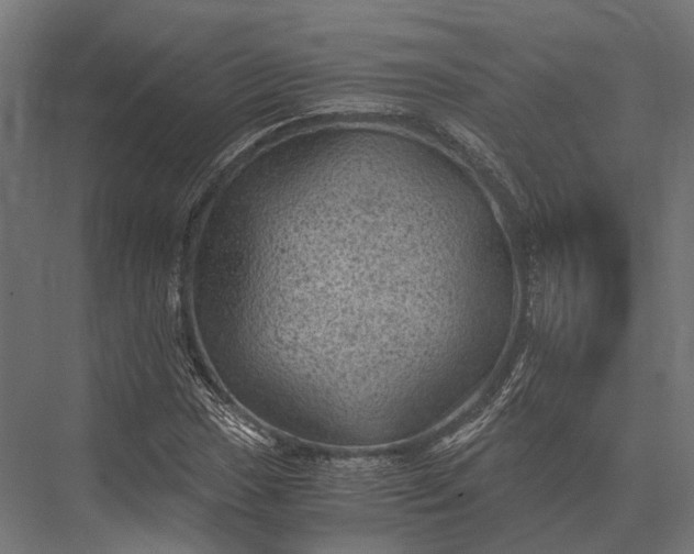 X0000076031017200610061412