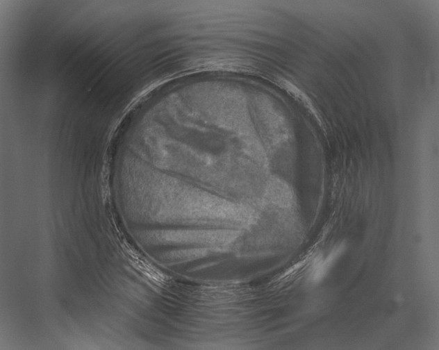 X0000076031019200610061412