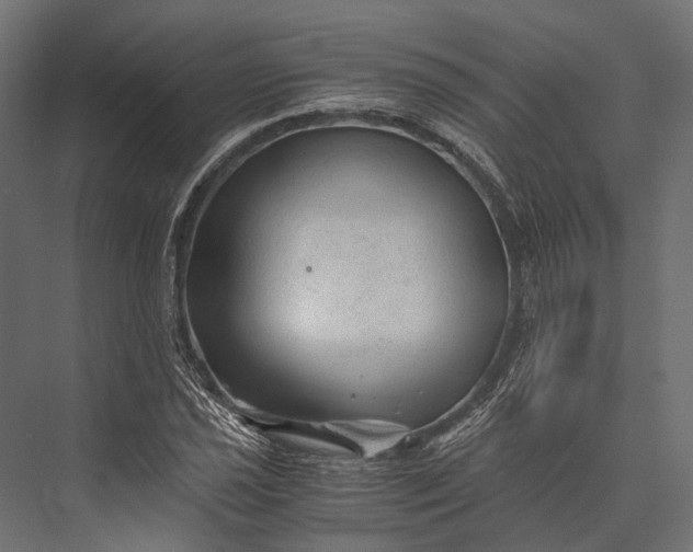 X0000076031021200610061412