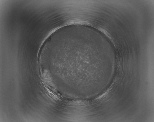 X0000076031022200610061412