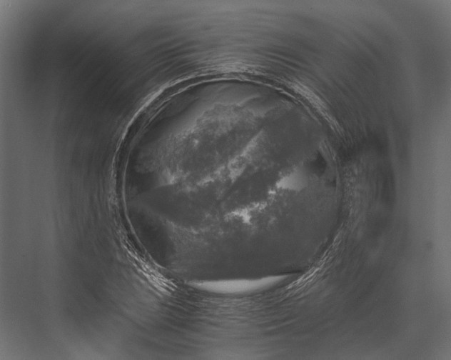 X0000076031023200610061412