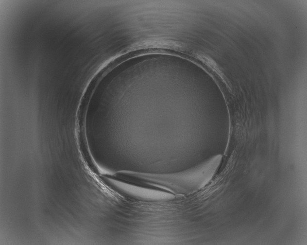 X0000076031024200610061412