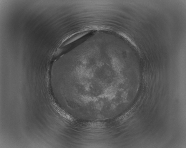 X0000076031025200610061412