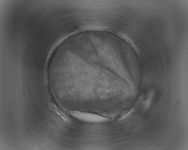 X0000076031027200610061412