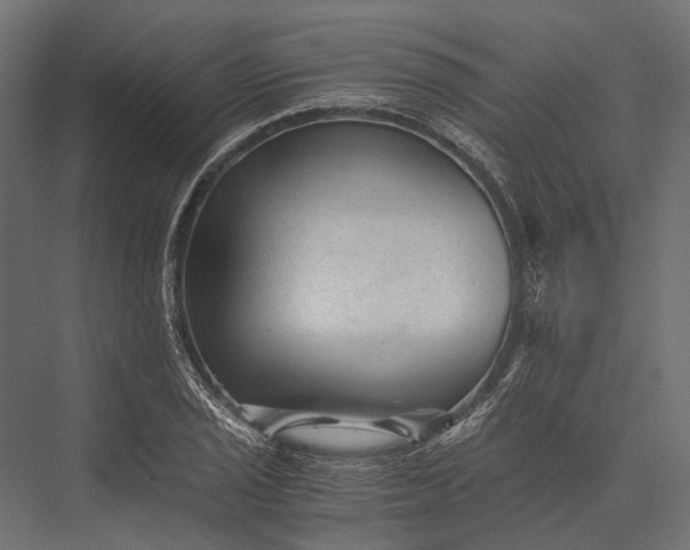 X0000076031029200610061413