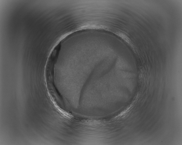 X0000076031030200610061413