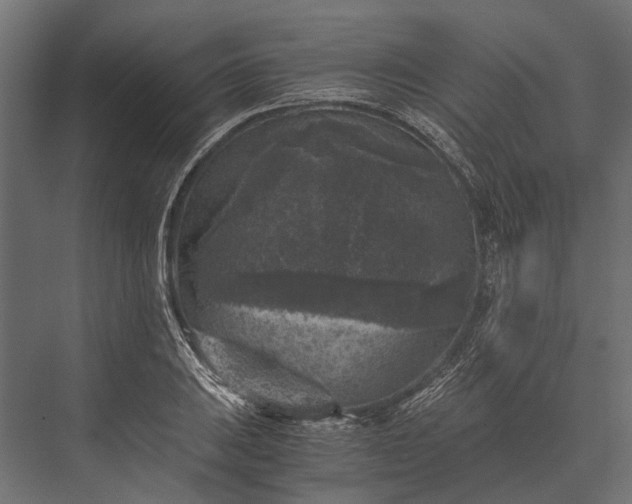 X0000076031031200610061413