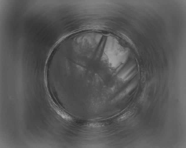 X0000076031035200610061413