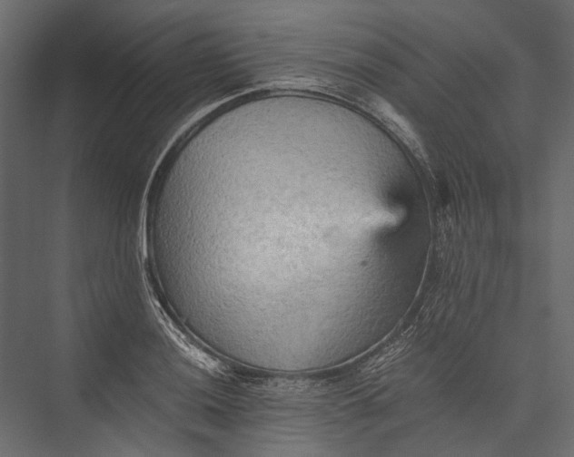 X0000076031036200610061413