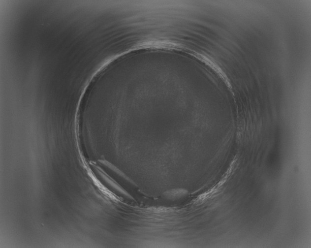 X0000076031037200610061413