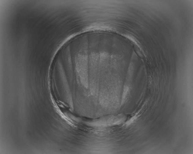 X0000076031038200610061413