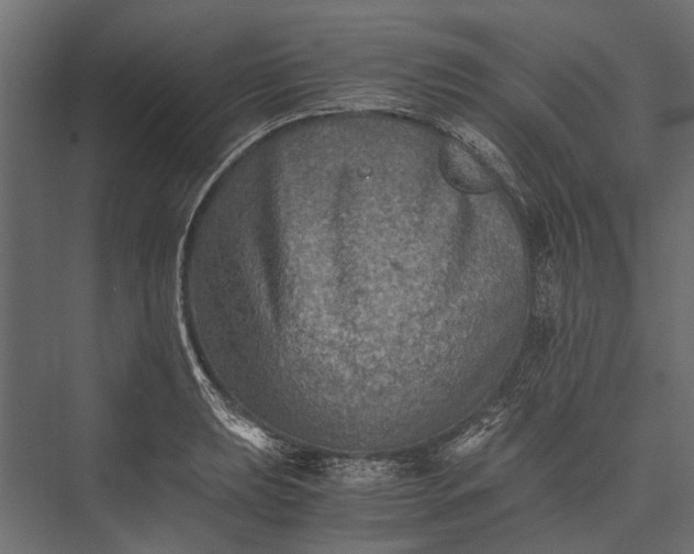 X0000076031039200610061413