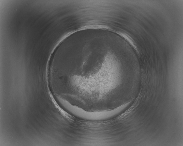 X0000076031046200610061413