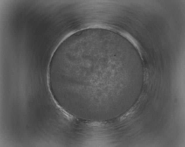 X0000076031048200610061413