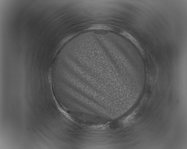 X0000076031049200610061413