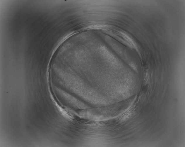 X0000076031050200610061413