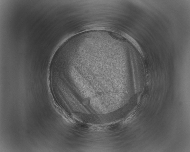 X0000076031051200610061413