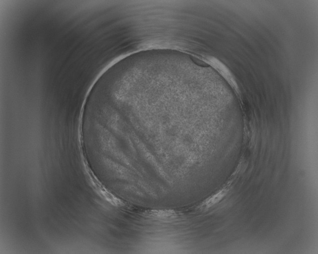 X0000076031052200610061413