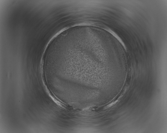 X0000076031053200610061413