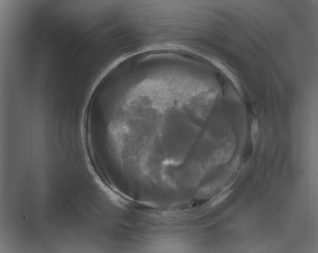 X0000076031054200610061413