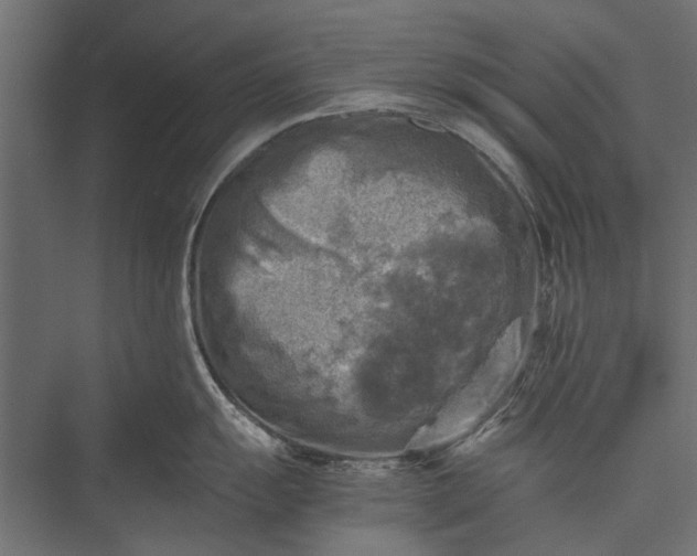 X0000076031055200610061413