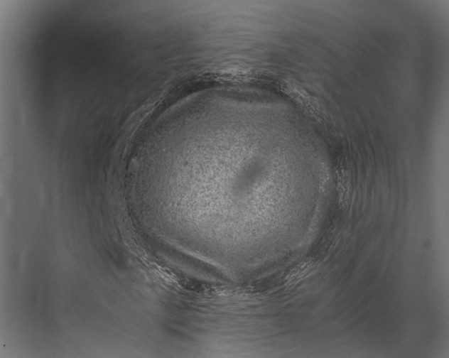 X0000076031057200610061412