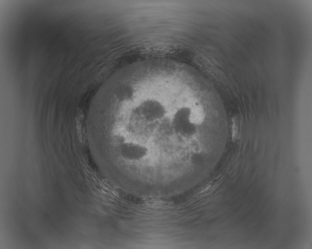 X0000076031059200610061412