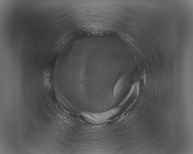 X0000076031060200610061412