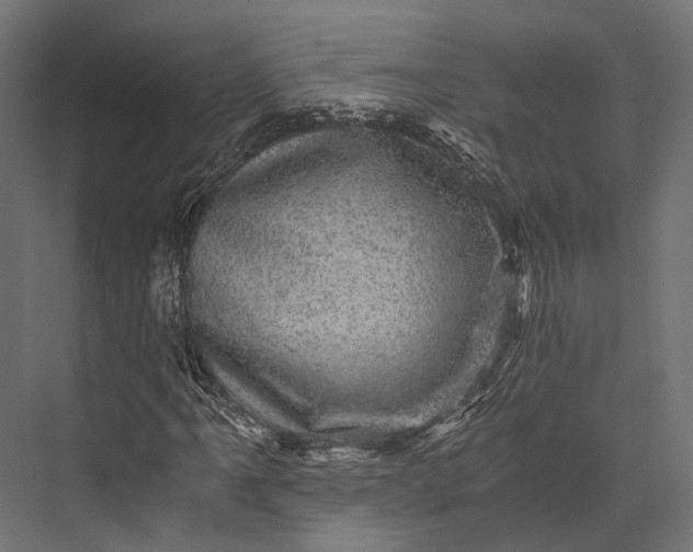 X0000076031061200610061412