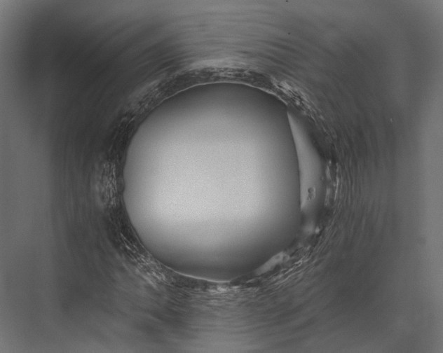 X0000076031062200610061412