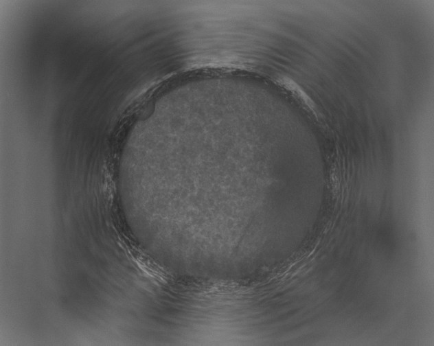 X0000076031064200610061412