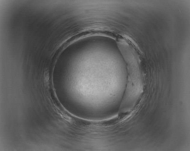 X0000076031065200610061412