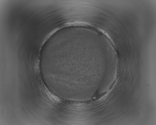 X0000076031066200610061412