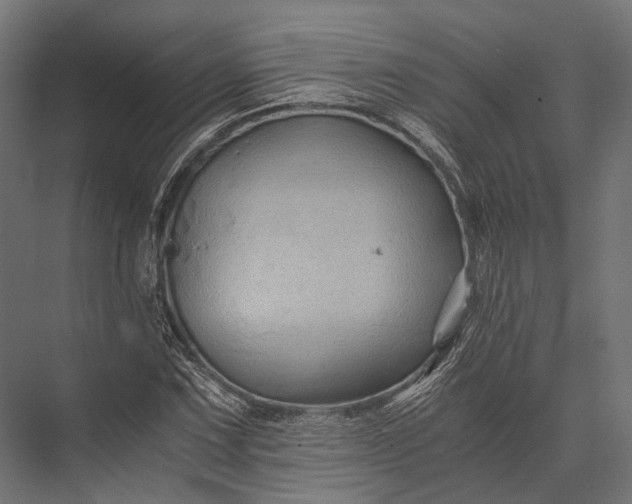 X0000076031067200610061412