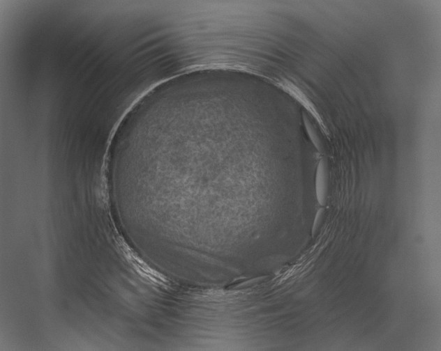 X0000076031068200610061412