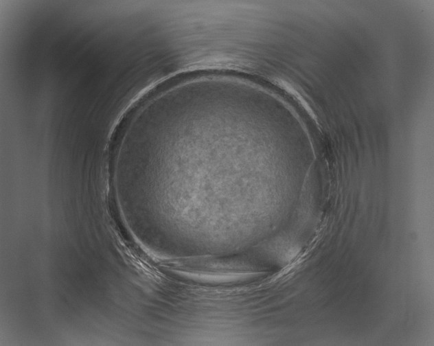 X0000076031069200610061412