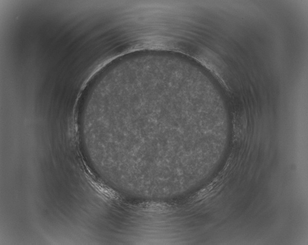 X0000076031070200610061412