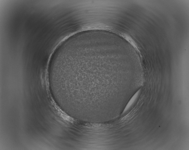 X0000076031072200610061412