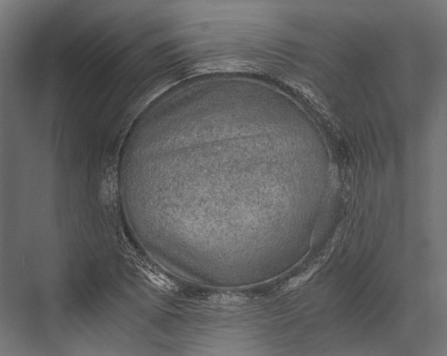 X0000076031073200610061412