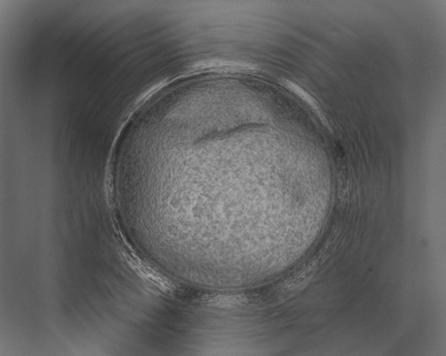 X0000076031074200610061412